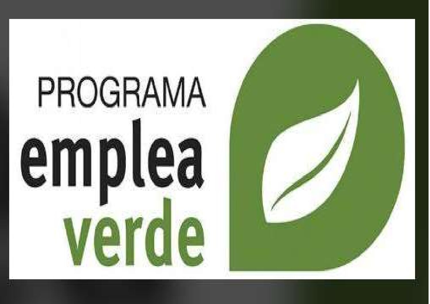 Servicio Público de Empleo Estatal